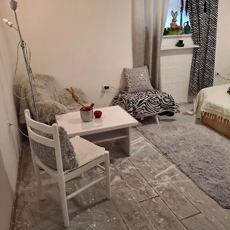 Vukmanovic Molerova Apartment